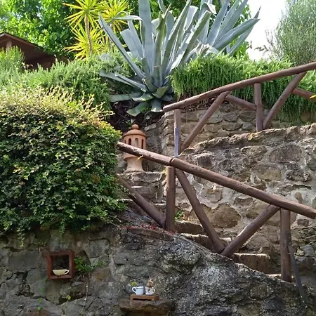 Desiata * Pietracuta